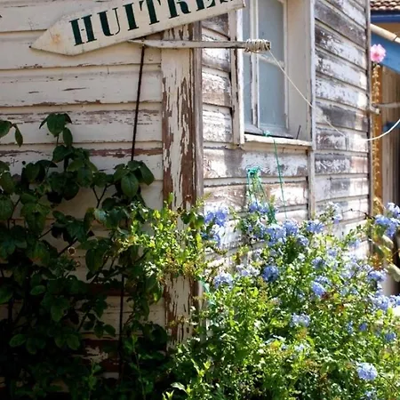 Cosy Village De L'herbe * Lège-Cap-Ferret