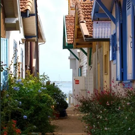 Cosy Village De L'herbe Apartment