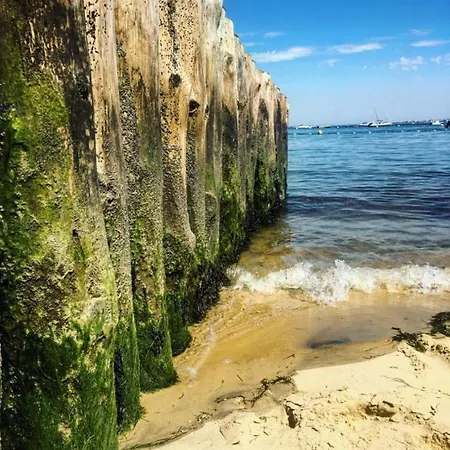 Cosy Village De L'herbe Lege-Cap-Ferret